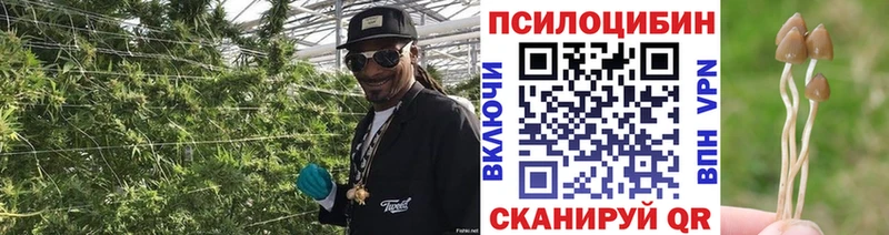 Псилоцибиновые грибы мицелий  наркошоп  Армянск 